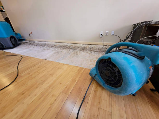 Professional Basement Flood Cleanup technician working in McGregor, TX